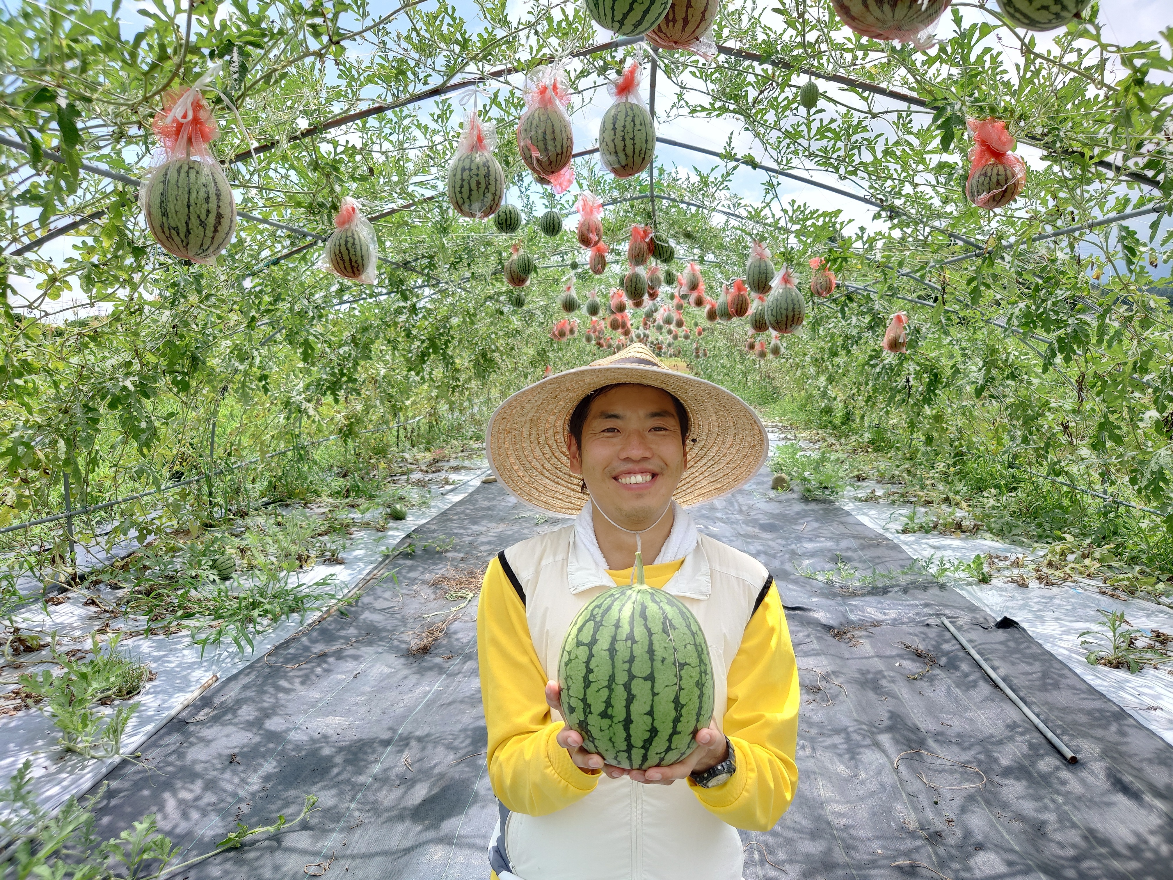石川県七尾市｜ほんたに農園｜本谷宏志さんのみんなの投稿｜ポケット