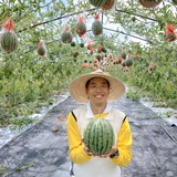 本谷宏志 | ほんたに農園