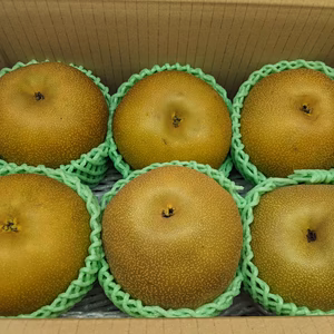 梨特大サイズ6kg箱詰め