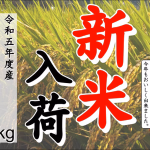 新米！冷めても美味しい！令和5年産「ヒノヒカリ」10㎏(精米５㎏×2袋）
