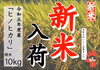 新米！冷めても美味しい！令和5年産「ヒノヒカリ」10㎏(精米５㎏×2袋）