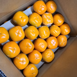 ⭐︎最終⭐︎大容量Sサイズ　53個入り（約7.5㎏）★たねなし柿★家庭用