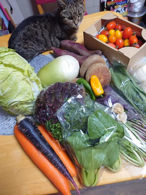 みんなの投稿の画像