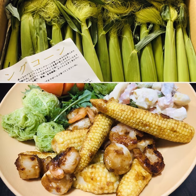 みんなの投稿の画像