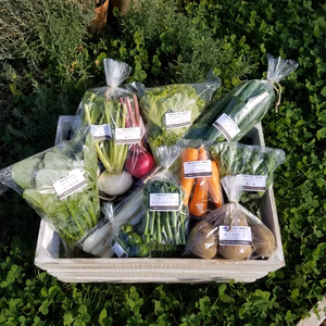 さくま農園「野菜の贈り物」