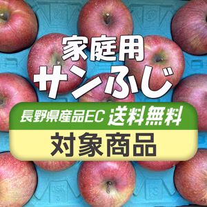 【送料無料】感謝セール！家庭用 サンふじ 10kg箱 信州りんご 