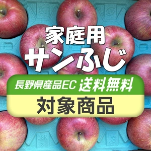【送料無料】感謝セール！家庭用 サンふじ 10kg箱 信州りんご 