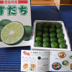 徳島特産 すだち　【贈答箱入り】