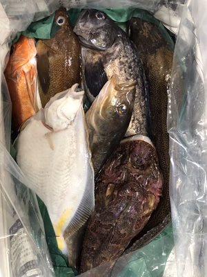 みんなの投稿の画像