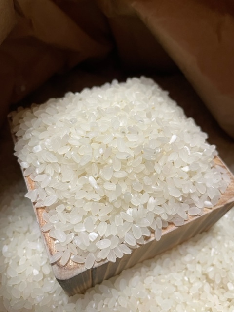 ✳︎新米 あきたこまち 2kg 特別栽培米 玄米 → 白米への精米も可能です✳︎