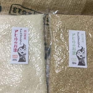 R5年度岡山県産「アヒルのお米(キヌムスメ)」お試し3合パック×2袋：白米&玄米
