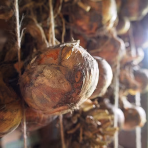 ぽっけの玉ねぎ【北海道自然栽培】