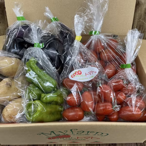 おいしくて止まらない！しあわせのトマトと野菜の詰め合わせ