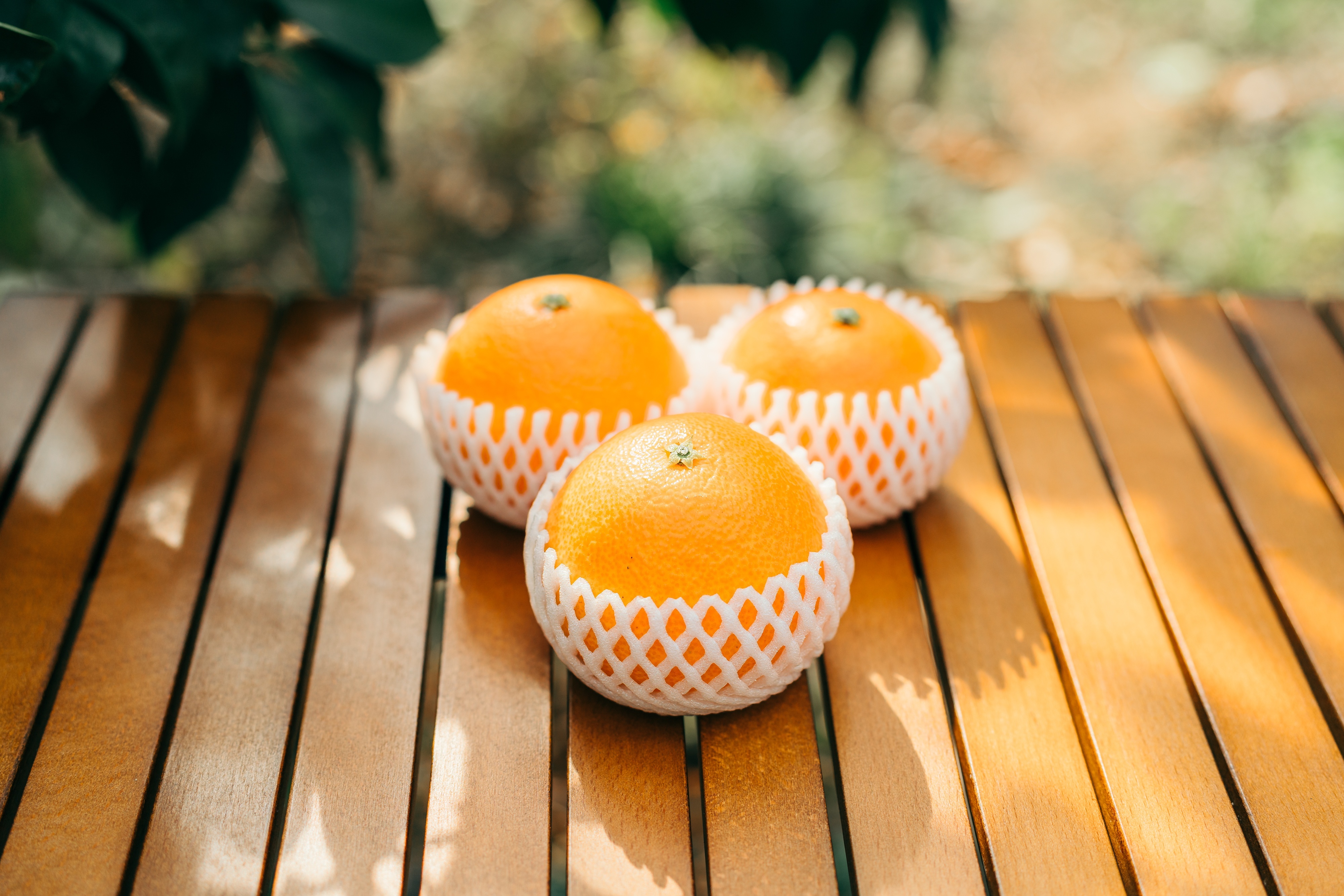 スペシャル】段畑まどんな 贈答品 9〜12玉｜オレンジの商品詳細