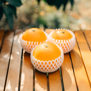 【スペシャル】段畑まどんな　贈答品　9〜12玉