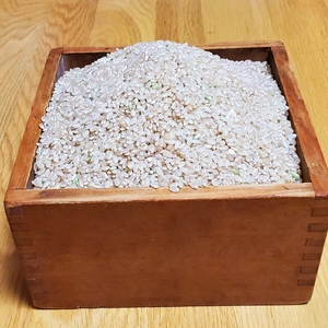 山形産　新米『はえぬき』　玄米　20kg