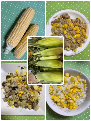 みんなの投稿の画像