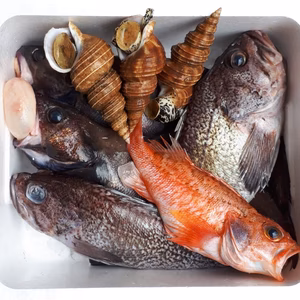 岩手の鮮魚セット