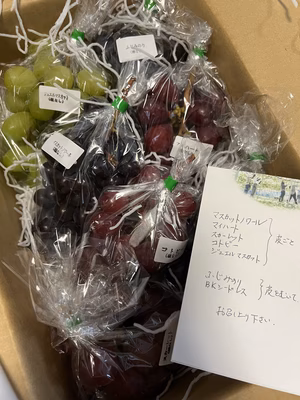 みんなの投稿の画像