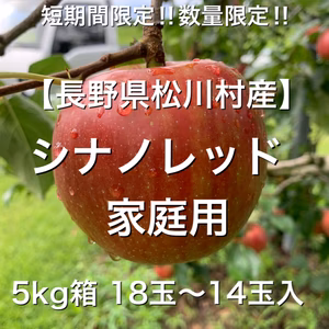短期間限定 数量限定 【長野県松川村産】シナノレッド 家庭用 5kg