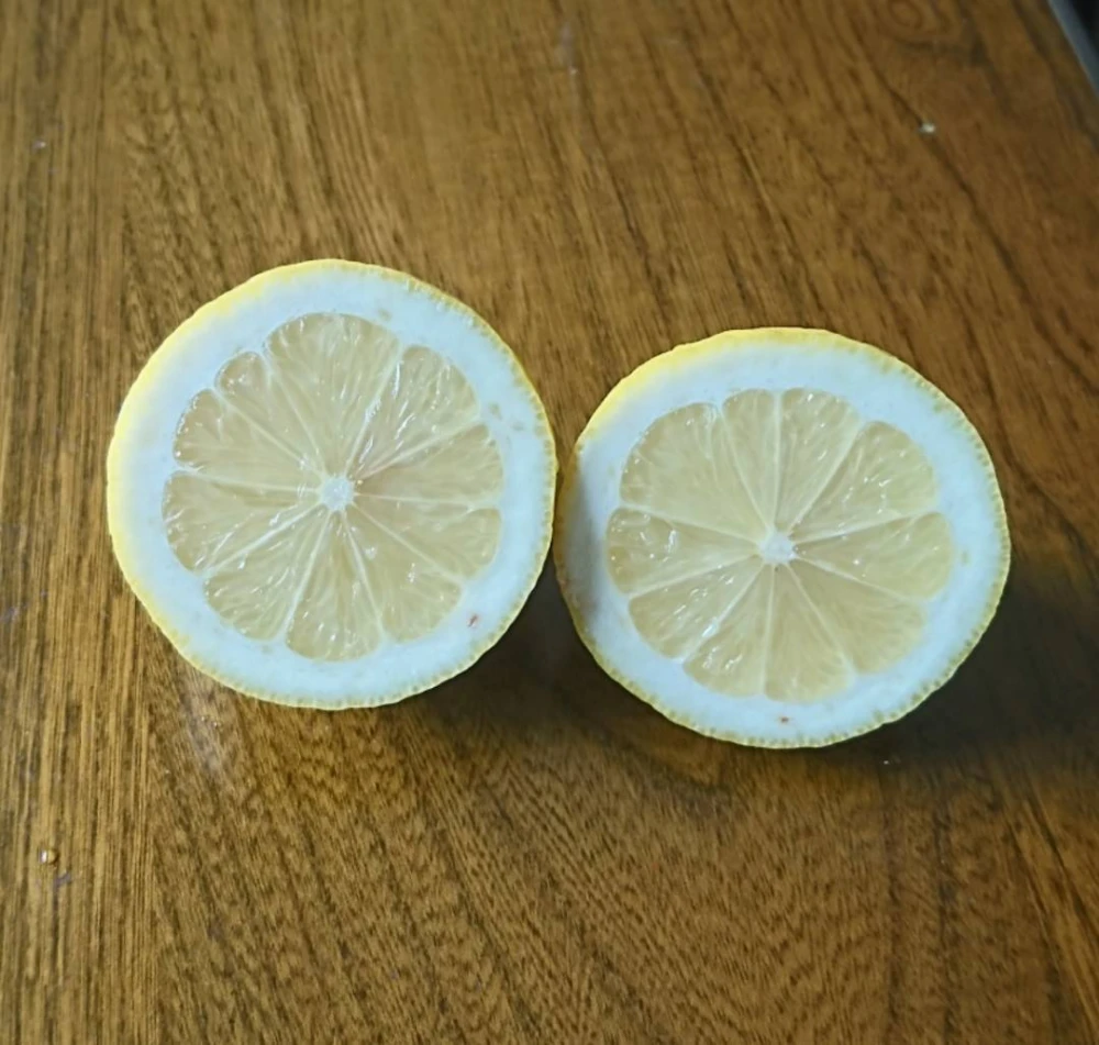 【防腐剤・農薬・ワックス不使用】酸っぱいだけじゃない！甘味も感じるレモン