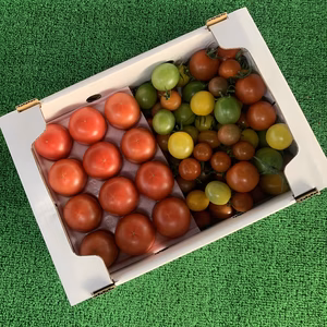 ジュエリーもセレブも食べたい~✨