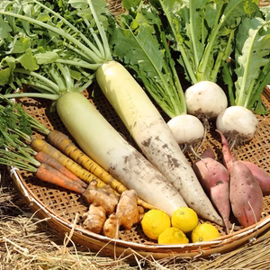 能登の恵みを味わう！【百姓サーファーマーの野菜セット】