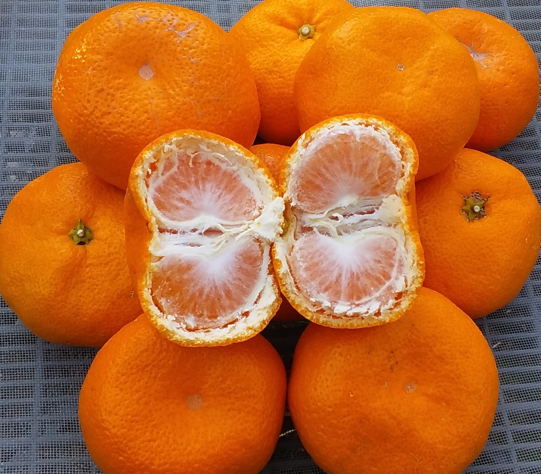 青島みかんLサイズ糖度11度以上4kg和歌山産「冷蔵便」｜みかんの商品