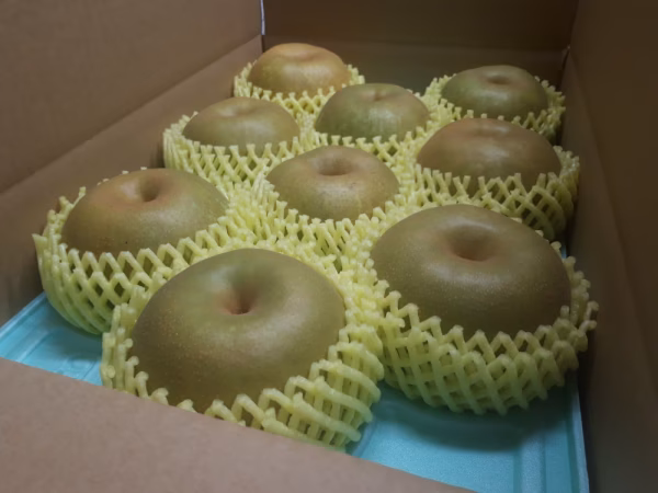 A5【贈答用】大玉、幸水梨 5Kg (10.12玉)