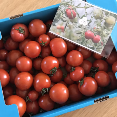 みんなの投稿の画像