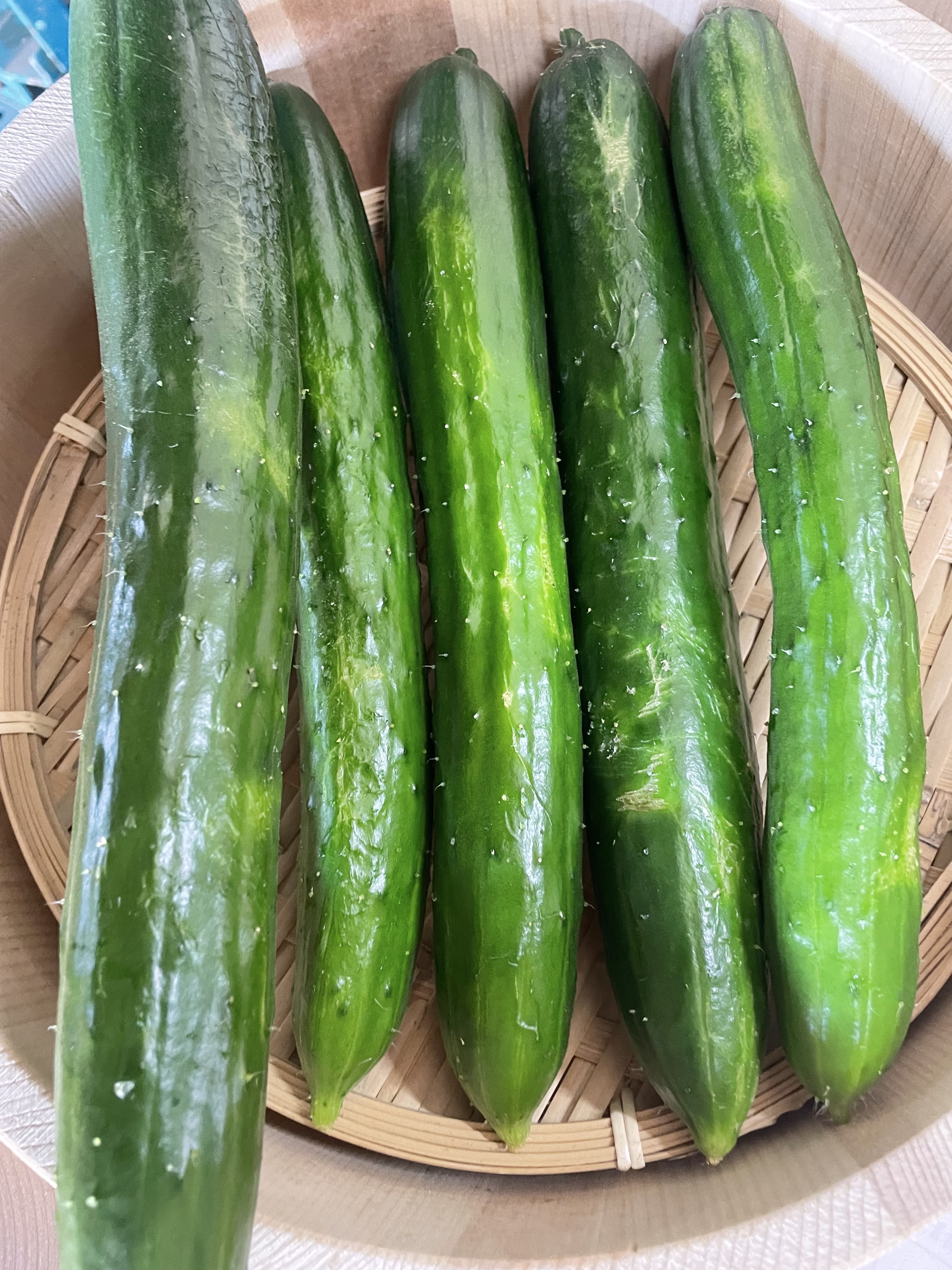 森のきゅうりさま依頼資料 61IKRE0nk2L._UF350,350_QL50_.jpg