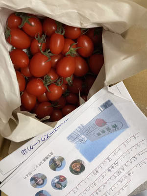 みんなの投稿の画像