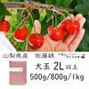 佐藤錦2L以上　500ｇ/800g/1kg【６月中旬発送】　