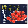 大人の芳醇トマト　ほれまる 1.5kg 初出荷！