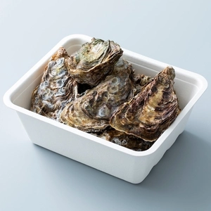 美浄生牡蠣【殻付き】生で安心して食べられるもちろん加熱しても！