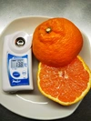 蔵出し　柑橘の王様　不知火　贈答用　4.5キロ　