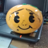 ミヤギのトトモ