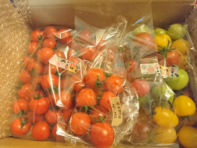 みんなの投稿の画像