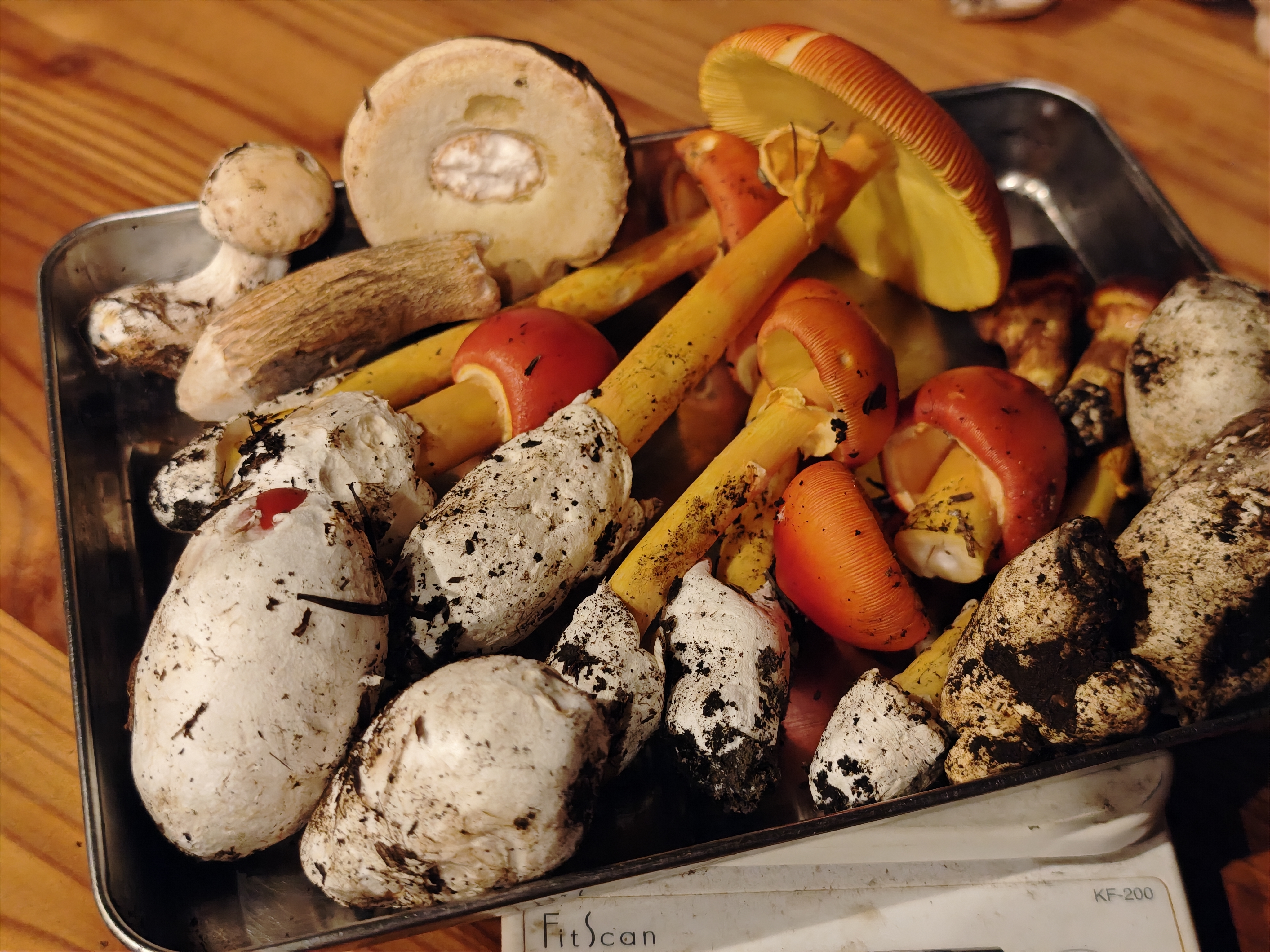 野菜の産直通販・お取り寄せ商品｜ポケットマルシェ｜産地直送で旬の