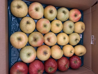 みんなの投稿の画像