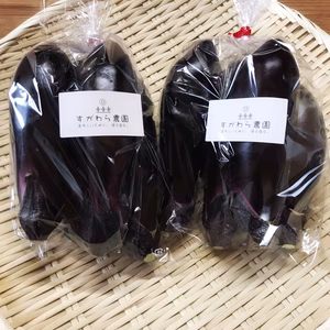 朝採り茄子5本が翌日に届く(一部地域を除く)