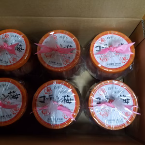 紀州南高梅Ｌサイズ　270ｇ入りポット　6個セット