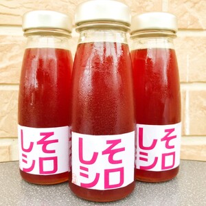 ちょっぴり塩味【農家の手作り梅じそシロップ】炭酸や焼酎に　赤紫蘇・赤しそジュース