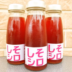 ちょっぴり塩味【農家の手作り梅じそシロップ】炭酸や焼酎に　赤紫蘇・赤しそジュース