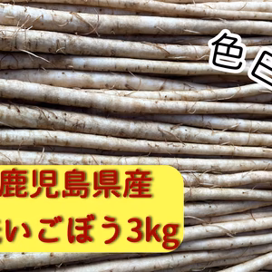 色白！鹿児島県産新鮮ごぼう⭐︎３キロ