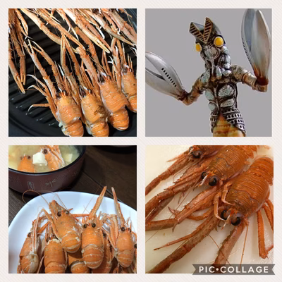 みんなの投稿の画像