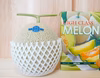 夏作！とろけるマスクメロン1玉(1.6kg以上)