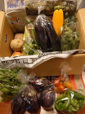 みんなの投稿の画像