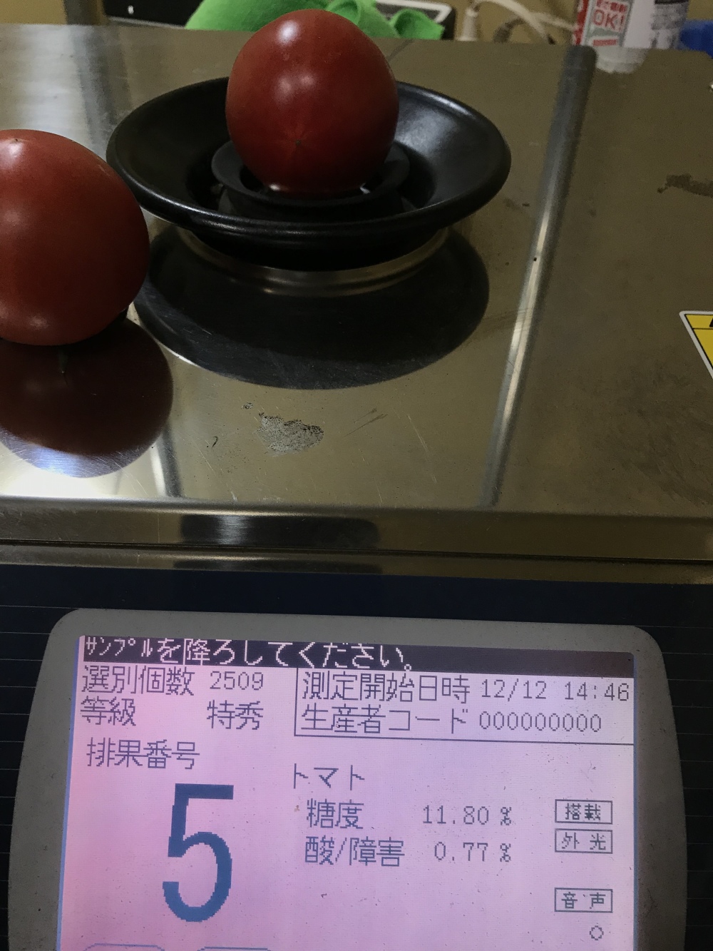 桃太郎トマトで糖度9.5超‼️のプレミアム桃太郎。 | 農家漁師から産地直送の通販 ポケットマルシェ