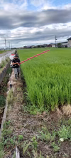  【10月～定期】R7年産5分づき 残留農薬11年連続ゼロ挑戦コシ伊助5Ｋｇ